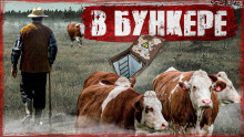 Аудиокнига Пастух