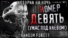 Аудиокнига Номер девять