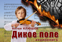 Аудиокнига Дикое Поле