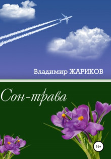 Аудиокнига Сон-трава