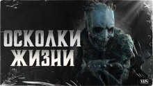 Аудиокнига Осколки жизни