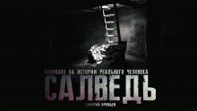 Аудиокнига Салведь