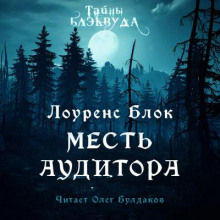 Аудиокнига Месть аудитора