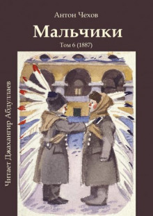 Аудиокнига Мальчики