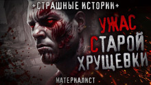 Аудиокнига Электросчетчик