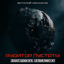 Аудиокнига Аудитор пустоты