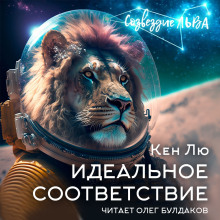 Аудиокнига Идеальное соответствие