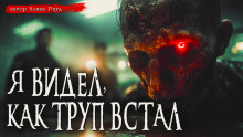 Аудиокнига Общество чистых тарелок