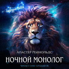 Аудиокнига Ночной монолог