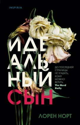 Аудиокнига Идеальный сын