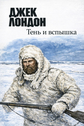 Аудиокнига Тень и вспышка