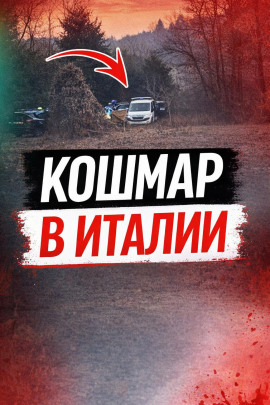 Аудиокнига Чемодан среди леса