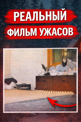 Аудиокнига Восемь лет без ответа