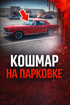 Аудиокнига 34 года поиска