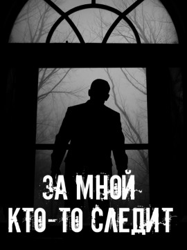 Аудиокнига За мной кто-то следит