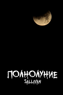 Аудиокнига Полнолуние